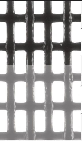 Strukturansicht Pet-Screen