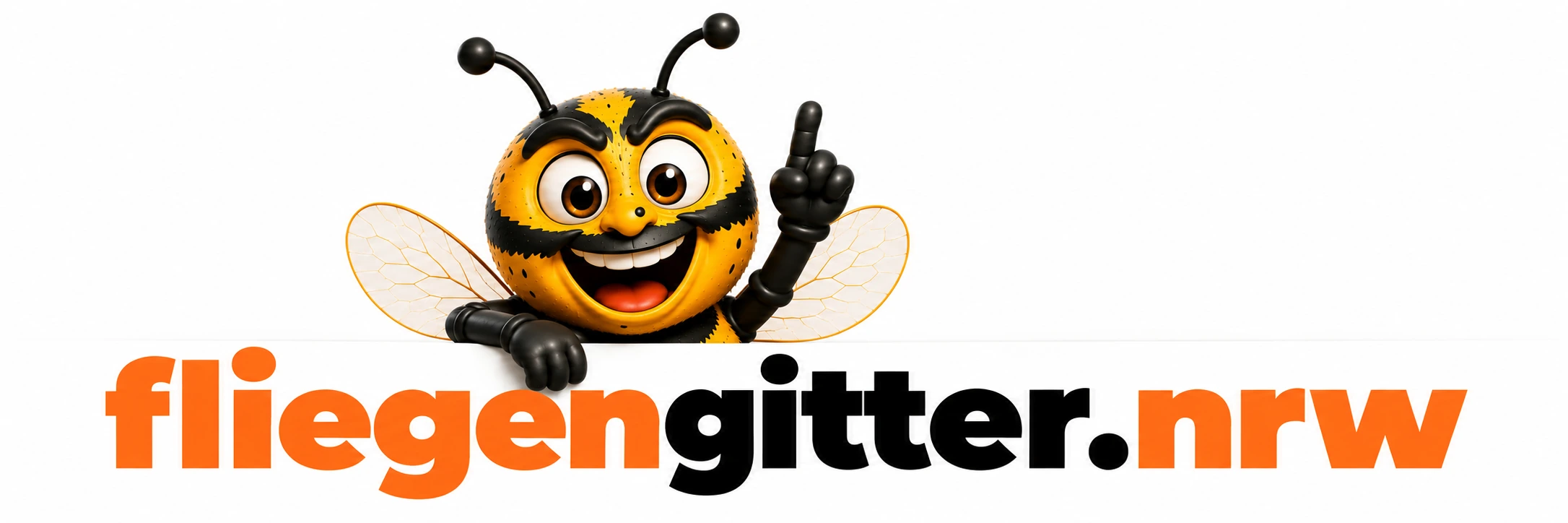 fliegengitter.nrw